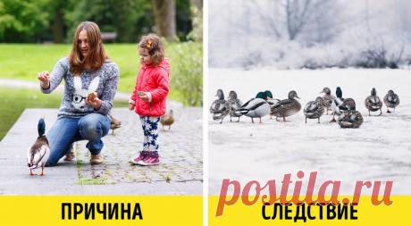 10 принципов экозащитников, которые оказались не более чем фикцией