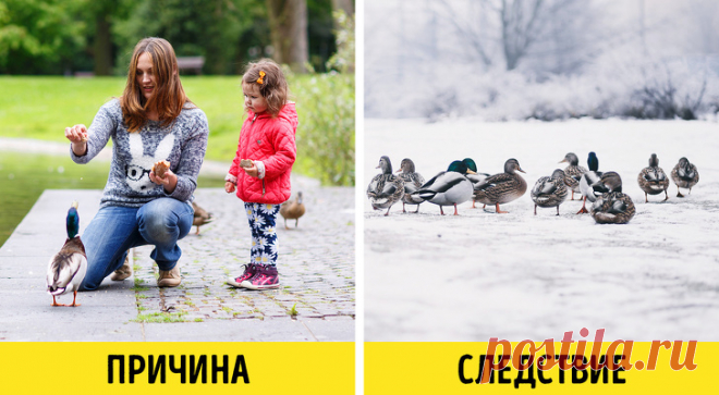 10 принципов экозащитников, которые оказались не более чем фикцией