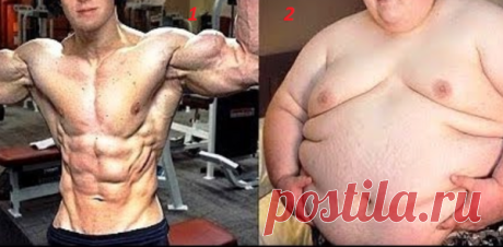 Знаменитости которые ужасно растолстели | fitnechannel | Яндекс Дзен