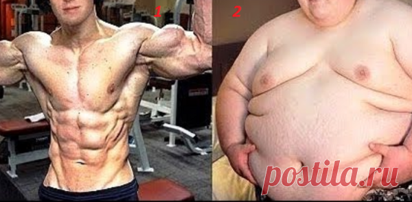 Знаменитости которые ужасно растолстели | fitnechannel | Яндекс Дзен