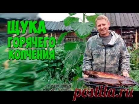 Как приготовить рыбу горячего копчения. - видео онлайн. Сайт Новосибирских рыбаков Видео: Как приготовить рыбу горячего копчения. -  бесплатно. Рубрика: Приготовление рыбы. Добавлено пользователем whoisman в 2017 году. Всем привет! Решил поделиться своим опытом приготовления щуки таким образом и за одно самодельным приспособлением для ее копчения. Пардон за