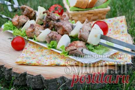 Вкусный шашлык из свинины | 8 Ложек
