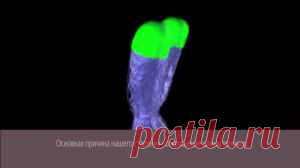 Новый тренд в мире &#8212; тесты по измерению теломеров&#8230;Но можно их не только &#171;мерить&#187;, но еще и сохранять, и даже удлинять. Хотите узнать как? | Блог Семена Киракосян.