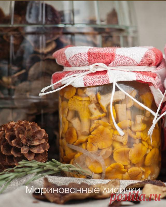 Маринованные лисички с уксусом и чесноком на зиму