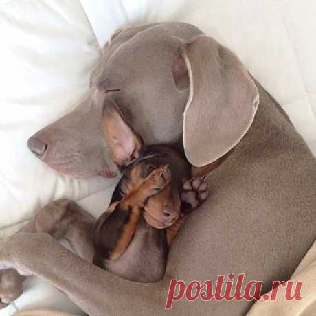 Всем хорошего отдыха и приятных снов