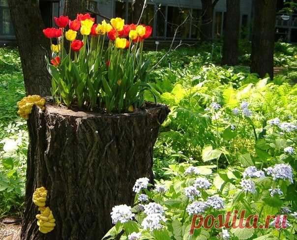 Интересная идея