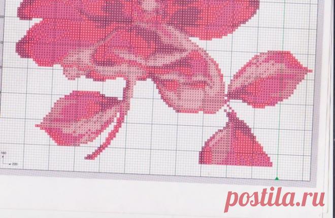 Gallery.ru / Фото #5 - ***** - celita

5/6