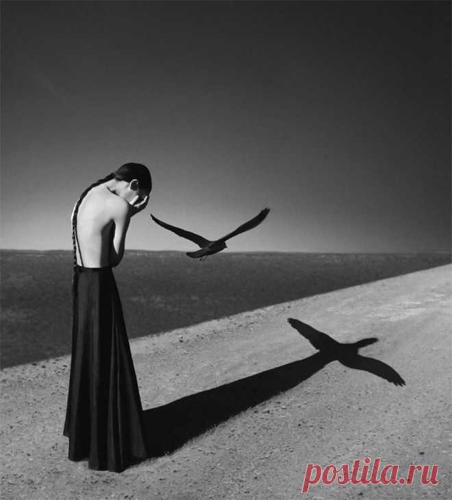 Self Portrait, Noell Oszaid﻿