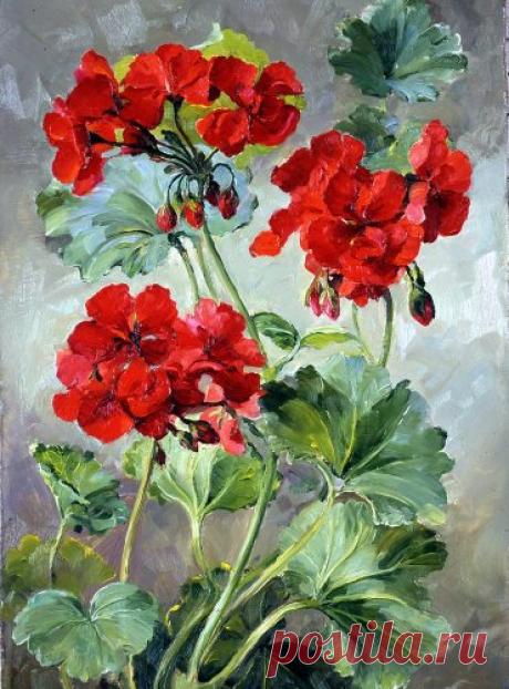 Anne Cotterill