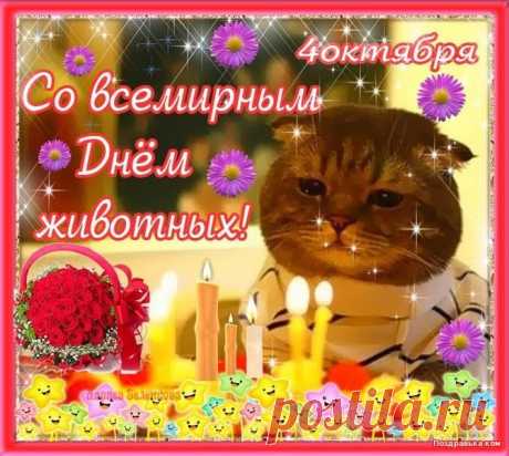 Мой Мир@Mail.Ru
