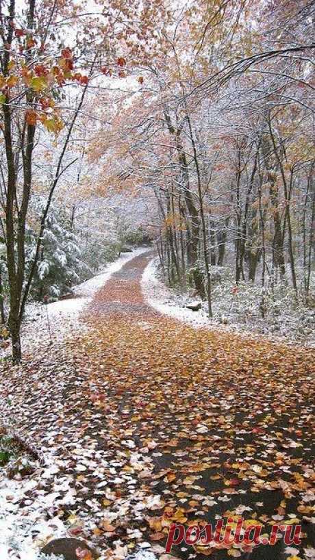 Pinterest