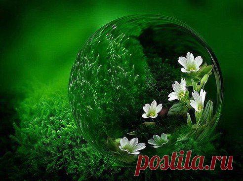 Наведи порядок в мыслях – и увидишь мир другими глазами.