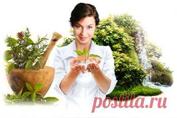 Ломонос трава 25г