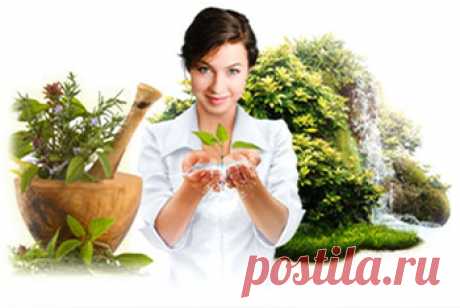 Ломонос трава 25г