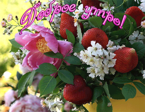 113275117_Dobroeutro5.gif (500×388)