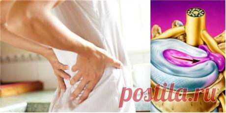 Лечение межпозвоночной грыжи без лекарств и операции: упражнения для спины от Шамиля Аляутдинова. — Journal women❜s