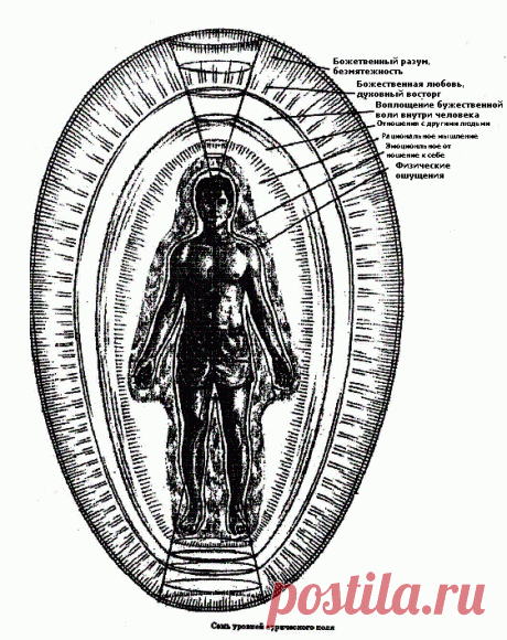 Боевая магия