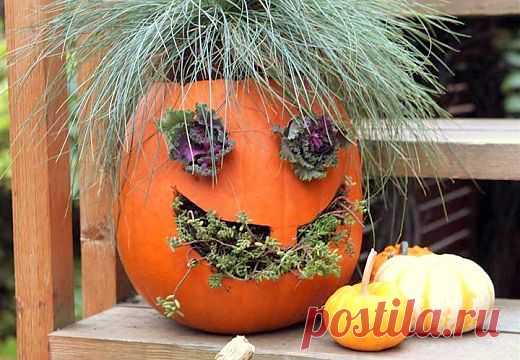 Jack O Planterns - Сад терапия