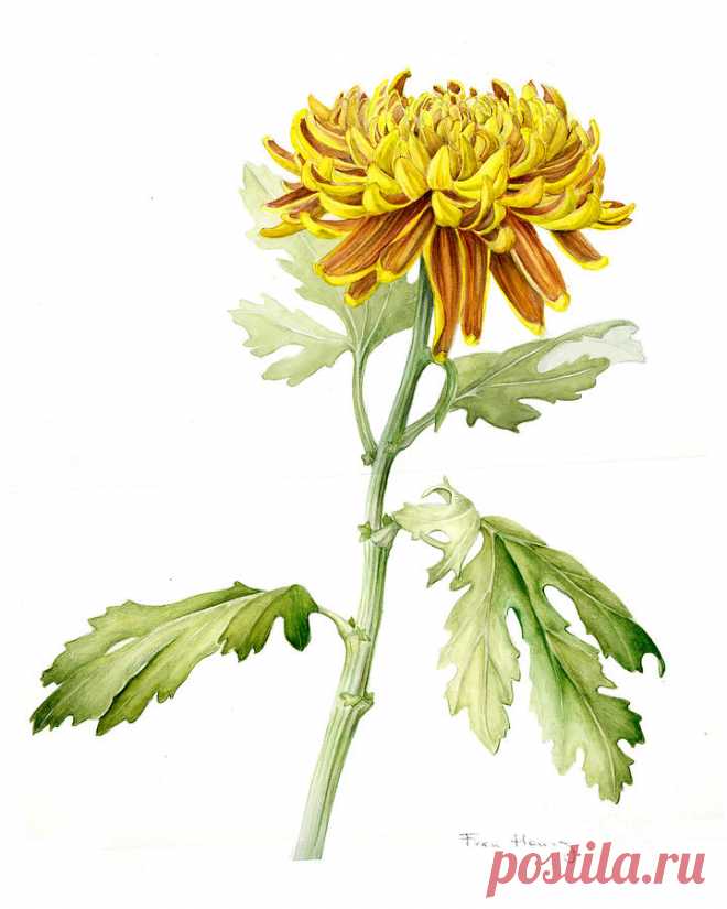 Deco Mum by Fran Henig Deco Mum Painting by Fran Henig