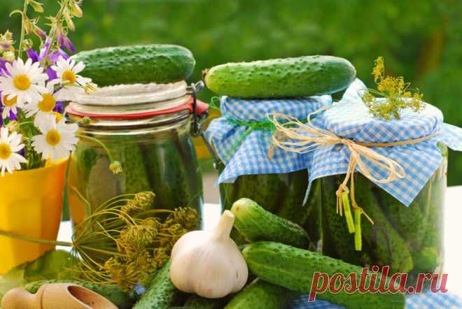 Маринованные огурчики могут быть сладкими, при этом пряными и очень вкусными — попробуйте это необычное сочетание | Идеальный огород | Яндекс Дзен