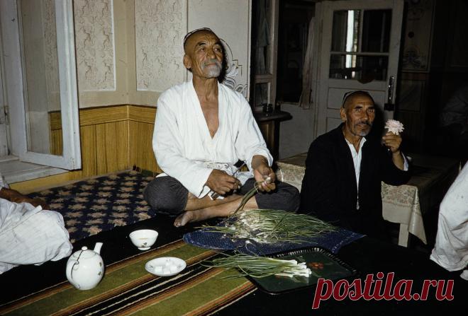 1959. Харрисон Форман в Самарканде. Часть 1: humus — ЖЖ