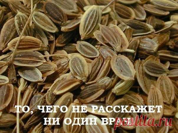 ЛЕЧЕНИЕ ПОДЖЕЛУДОЧНОЙ ЖЕЛЕЗЫ НАРОДНЫМИ МЕТОДАМИ.
ТО, ЧЕГО НЕ РАССКАЖЕТ НИ ОДИН ВРАЧ!

Поджелудочная железа — один из важных внутренних органов человеческого тела, который отвечает за наше пищеварение. Сбой в работе поджелудочной чреват осложнениями и целым рядом заболеваний, таких как панкреатит или сахарный диабет. К счастью, есть прекрасные народные средства, которые помогают лечить этот орган не хуже лекарств. Если у тебя есть проблемы с этим важнейшим органом — наша ст...