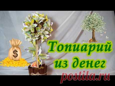 Очень красивый топиарий из денег. Подарок на 23 февраля.