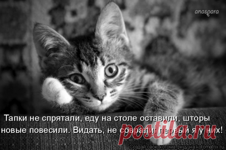 Тапки не спрятали, еду со стола не убрали, шторы новые повесили.... 












































