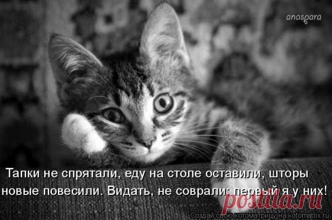 Тапки не спрятали, еду со стола не убрали, шторы новые повесили.... 












































