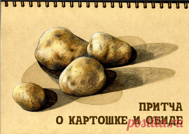 Прекрасная и очень поучительная история об обиде.

Ученик попросил учителя:

– Ты такой мудрый. Ты всегда в хорошем настроении, никогда не злишься. Помоги и мне быть таким.

Учитель согласился и попросил ученика принести картофель и прозрачный пакет....
