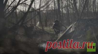 Международный фестиваль документального кино «RT.Док: Время наших героев» пройдёт в Абхазии. В Сухуме 17–18 ноября состоится Международный фестиваль «RT.Док: Время наших героев». Зрители увидят документальные фильмы об СВО, в том числе посвящённые добровольцам из Абхазии, которые сражаются в Донбассе с начала специальной военной операции. Читать далее