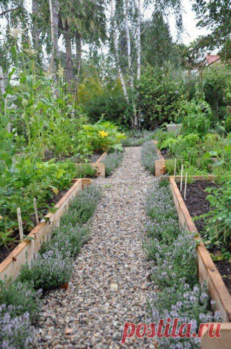 The Basics of Planning Your Vegetable Garden