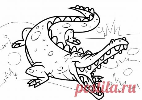 Крокодил раскраски распечатать