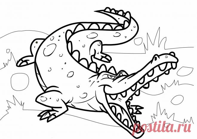 Крокодил раскраски распечатать
