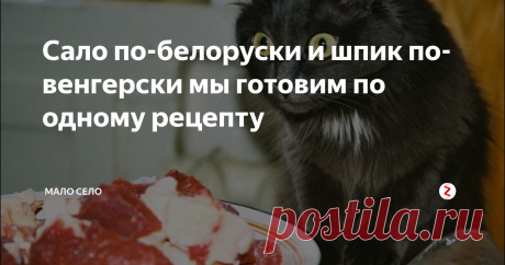 Сало по-белоруски и шпик по-венгерски мы готовим по одному рецепту Приготовлением вкусного деликатеса сегодня заняты не только селяне, но и многие жители городов.