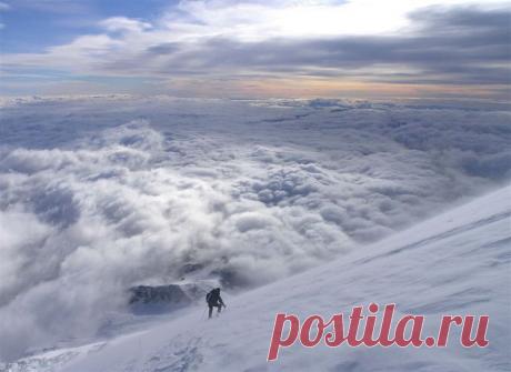 Хотите удивиться и узнать новенькое? Тогда Вам сюда! Заходим, смотрим...