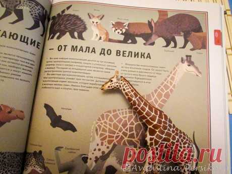 Книга &quot;Мир природы&quot; ( ответит на вопросы: Чем животные отличаются от растений? Как устроены пищевые цепи и сети? Какое самое большое млекопитающее на земле? Кто и как живет на краю света? Зачем птицам перья? Как устроена жизнь в пчелином улье? Кто живет в глубине океана, а кто на вершине гор? И многие, многие другие. Отправляйся в путешествие по живой природе и познакомься с самыми необычными обитателями всех шести континентов!