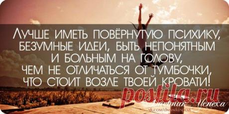 Лучшее высказывание. Я с ним полностью согласна, и именно поэтому нахожусь в постоянном движении и поиске. https://evgeshashipilova.wix.com/toplider1