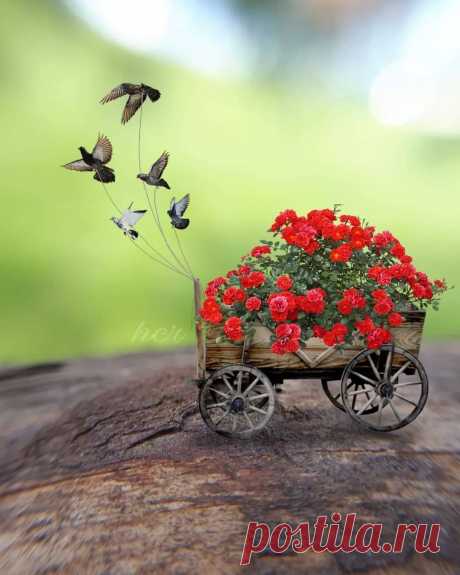 cute beautiful things for dp – Google Поиск