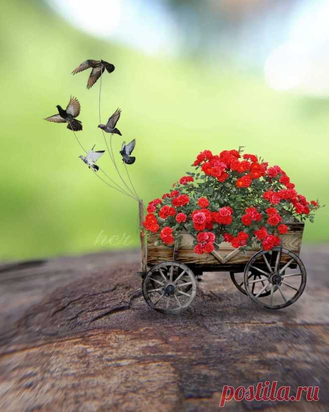cute beautiful things for dp – Google Поиск