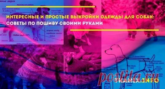 Как правильно шьется одежда для собаки своими руками + бесплатные выкройки и подробно разобранные материалы. Разбор, как правильно сшить попону, комбинезон и платье.