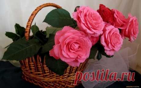 Доброе утро друзья❤