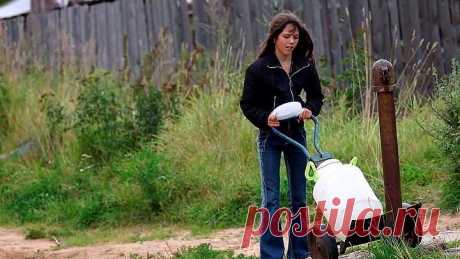 Сергей Трофимов - Ветерок