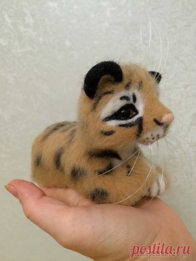 Тигренок Тоша