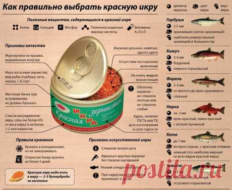 Выбираем красную икру Кулинарное искусство: Выбираем красную икру