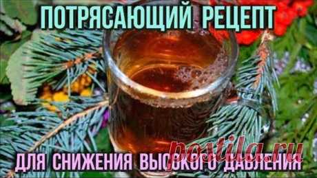 Как снизить и нормализовать артериальное давление без таблеток Народные рецепты