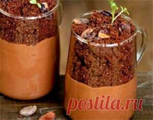 ШОКОЛАДНАЯ РАССАДА | Советник