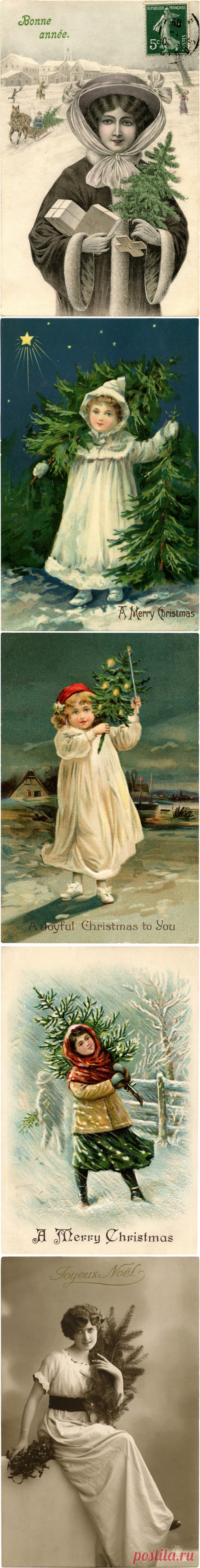 5 человек с графикой рождественской елки! - Графика Сказочная