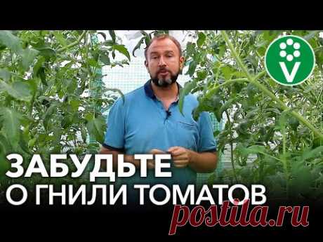 СУПЕРСМЕСЬ ОТ ВЕРШИННОЙ ГНИЛИ ТОМАТОВ!