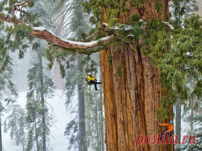 National Geographic: лучшие графии июня |  НОВОСТИ